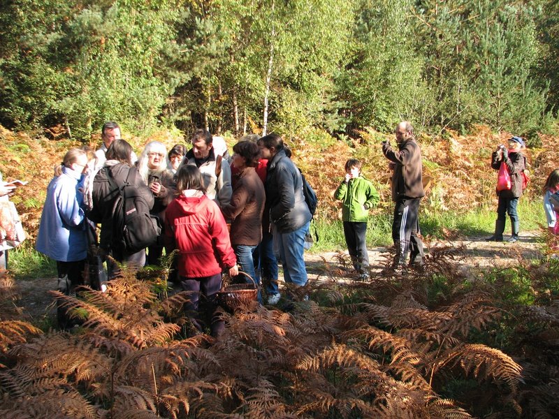 Mares au vinaigre 19